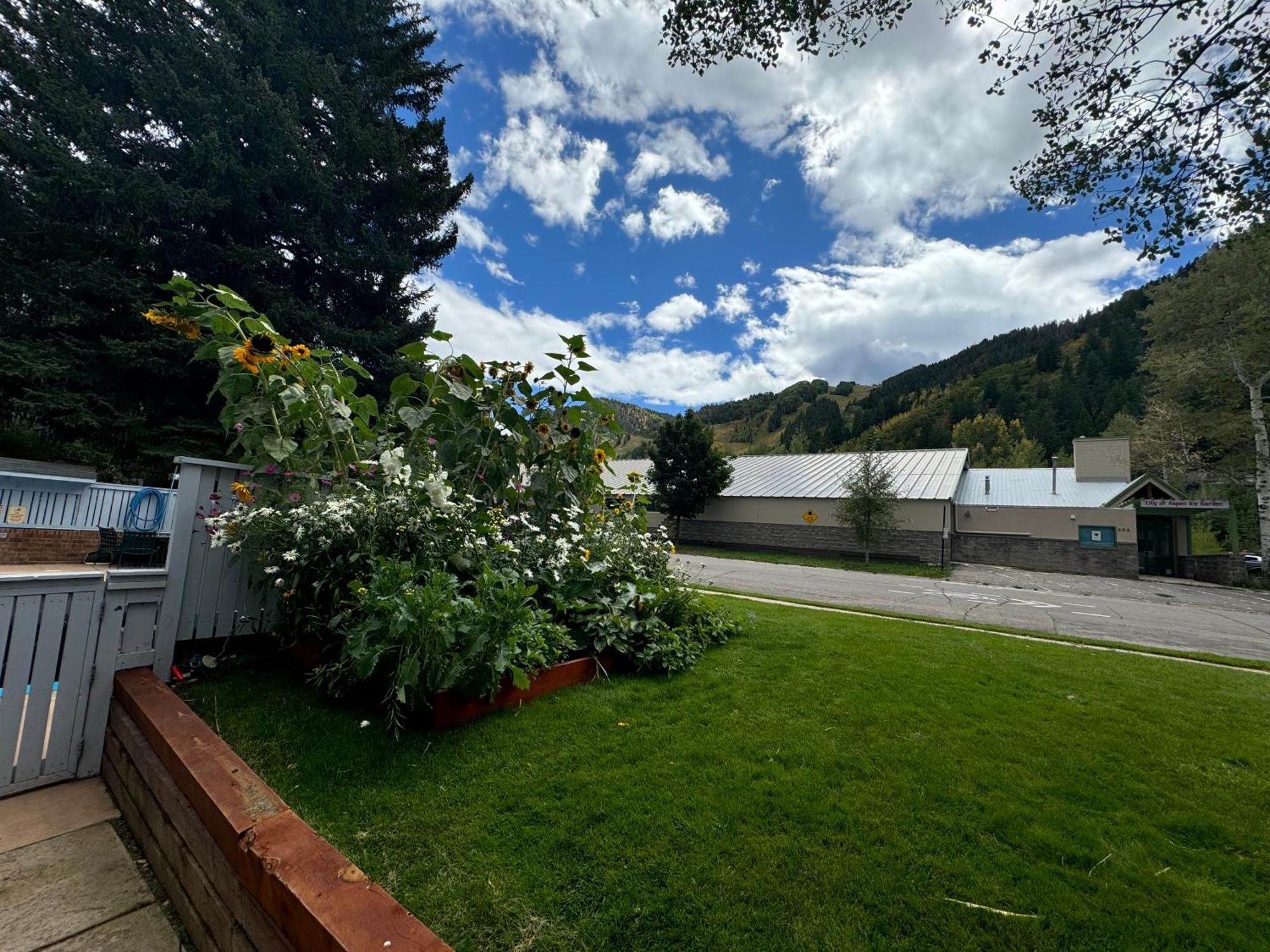 Shadow Mountain Lodge Aspen Exterior photo