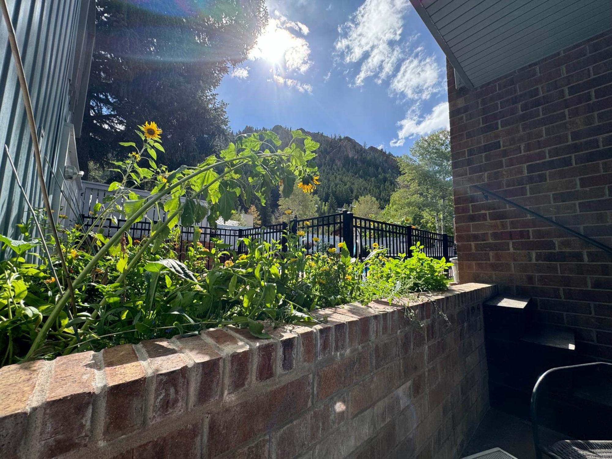 Shadow Mountain Lodge Aspen Exterior photo